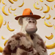 2904