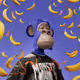 6926