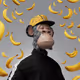 3742