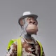 4642