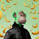 5790
