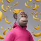 1164