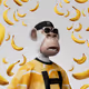 555