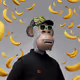 7464
