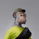 6252