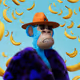 1008