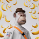 1716