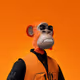 7082