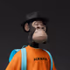 HAPE #4017