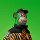 6038