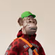 3395