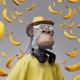 5319