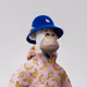 5447