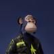 3277