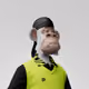 6219