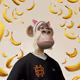 6259