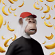 1633