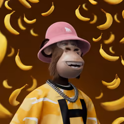 HAPE #2975