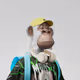 6028