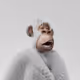 6250