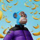 5589