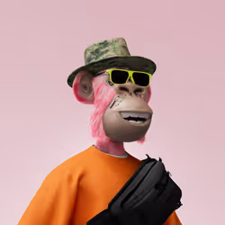 5566