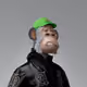 6854