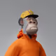 376