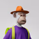 4362