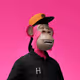 6704