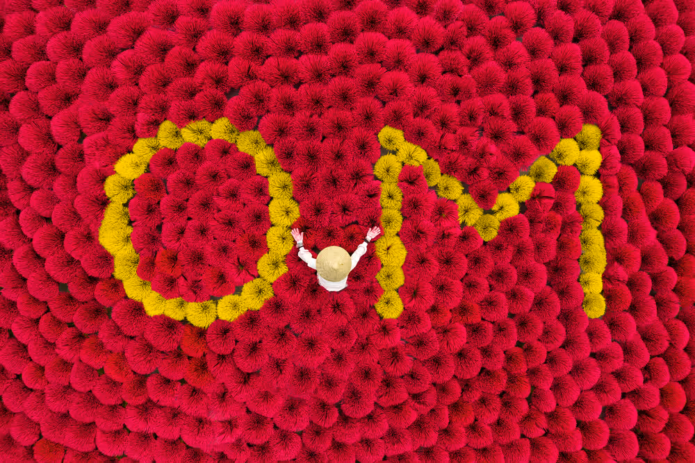 Scent of OM