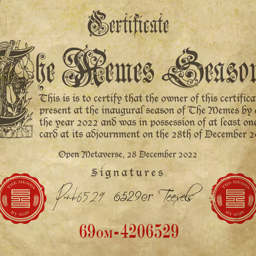 Memelab6529
