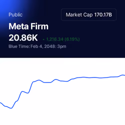 Meta Firm