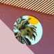 54580712936719139103476705491700778758