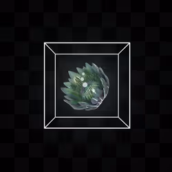 12067313458417646686101871955901708092