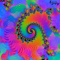 17