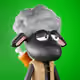 658
