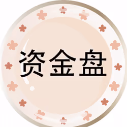 资金盘#219