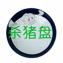 资金盘#850