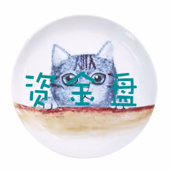 资金盘#456