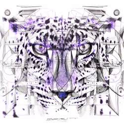 #14 Purple Leopard - By INDORATO