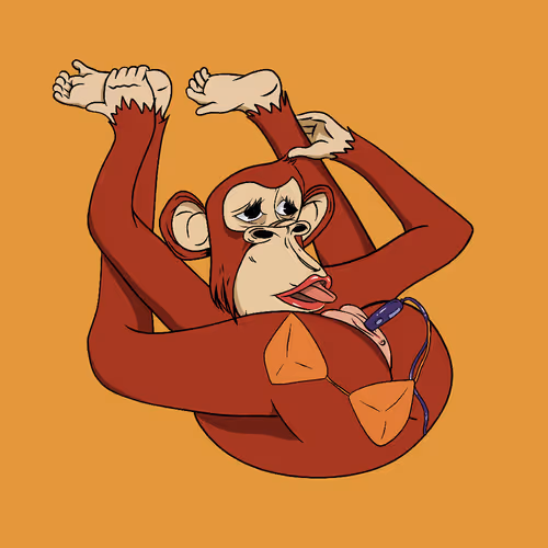 Lady Ape Yoga Club