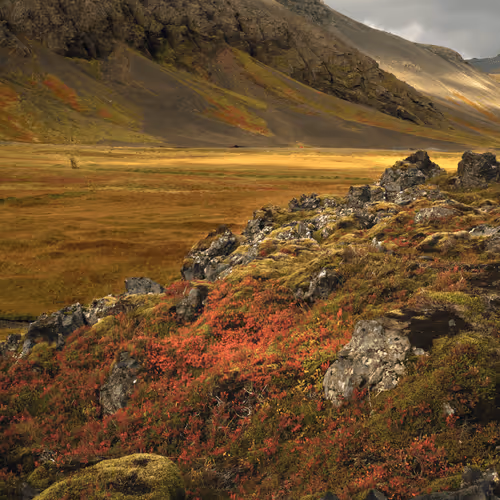 Landscape series: N°1 Matter