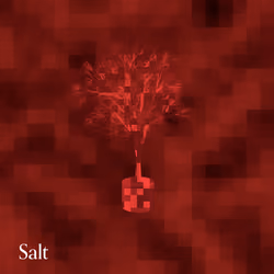 We Are What We Eat: Seed #58