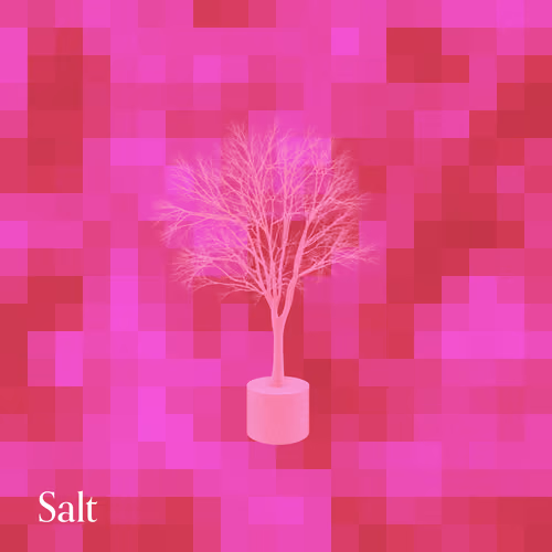 We Are What We Eat: Seed #19