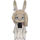 4043