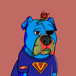 Vito #552