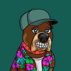 Vito #564