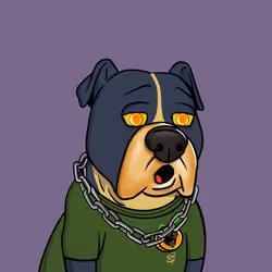 Vito #335