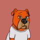 50